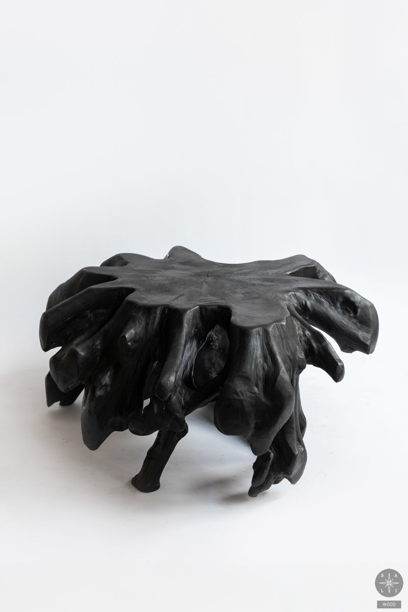 Tikmedžio šaknies staliukas