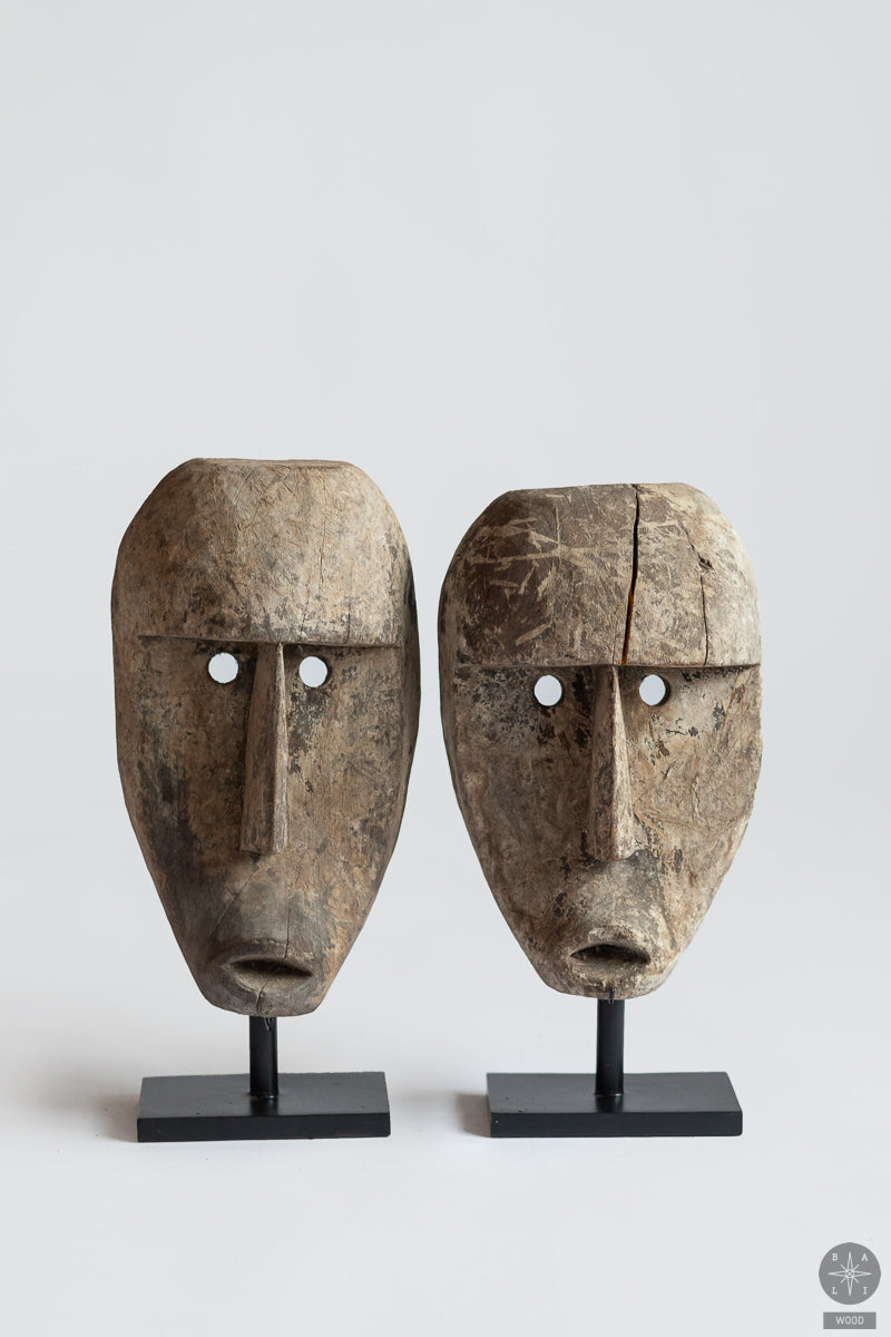 Tikmedžio kaukė ant metalinio stovo