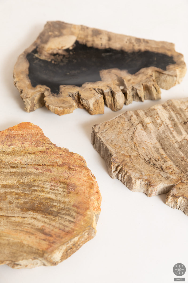 Muilinė iš fosilijos