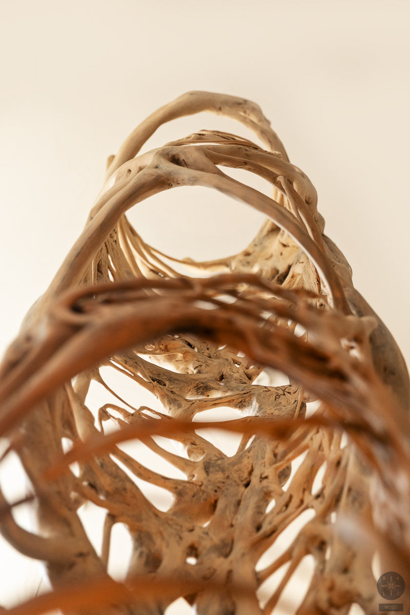 Skulptūra iš fikuso