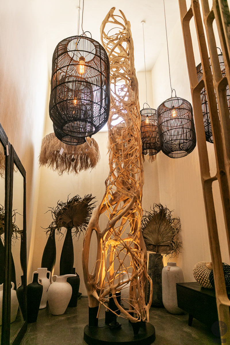 Skulptūra iš fikuso