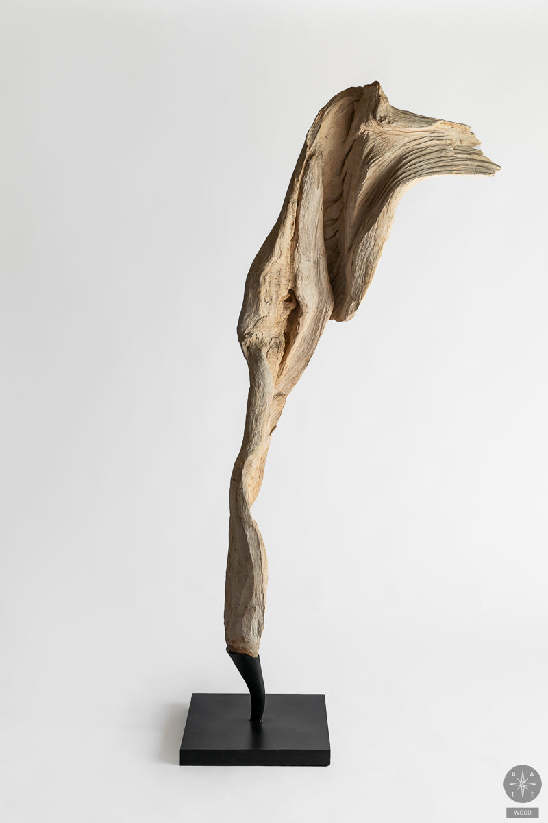 Tikmedžio dekoracija