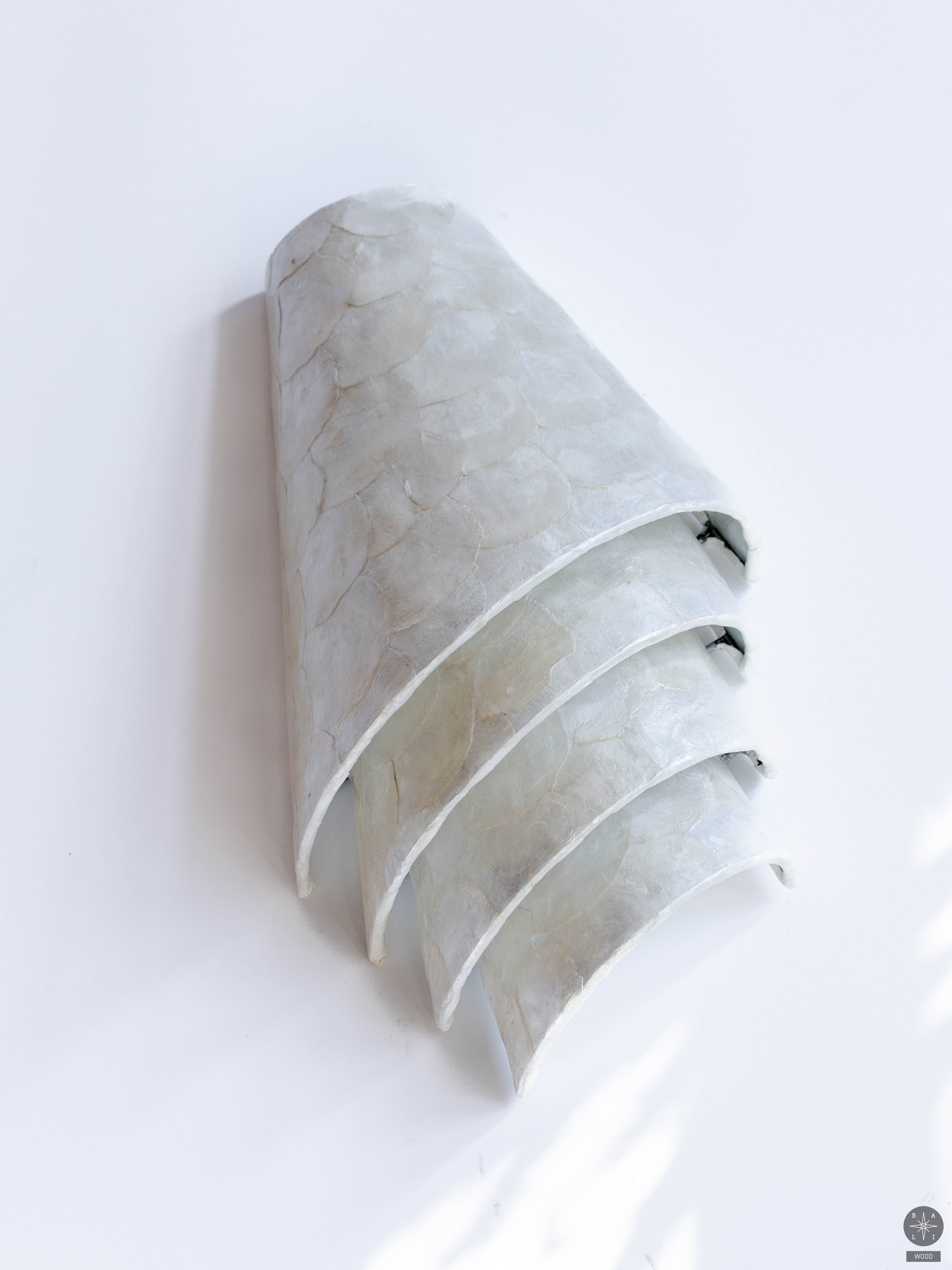 Sieninis šviestuvo gaubtas iš kriauklyčių