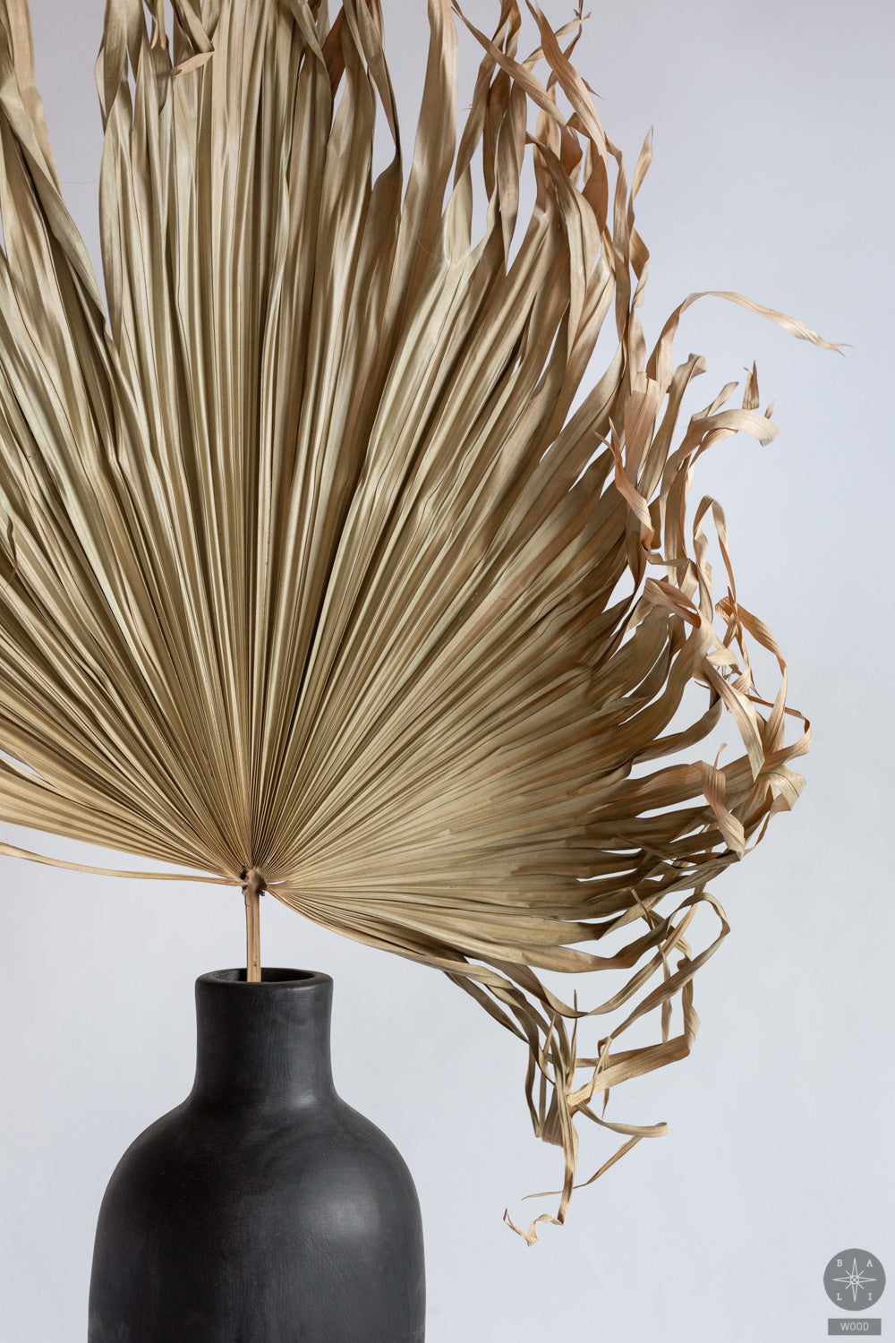 Sausa dekoracija iš palmės lapų