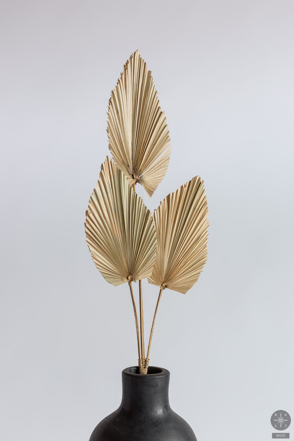 Sausa dekoracija iš palmės lapų