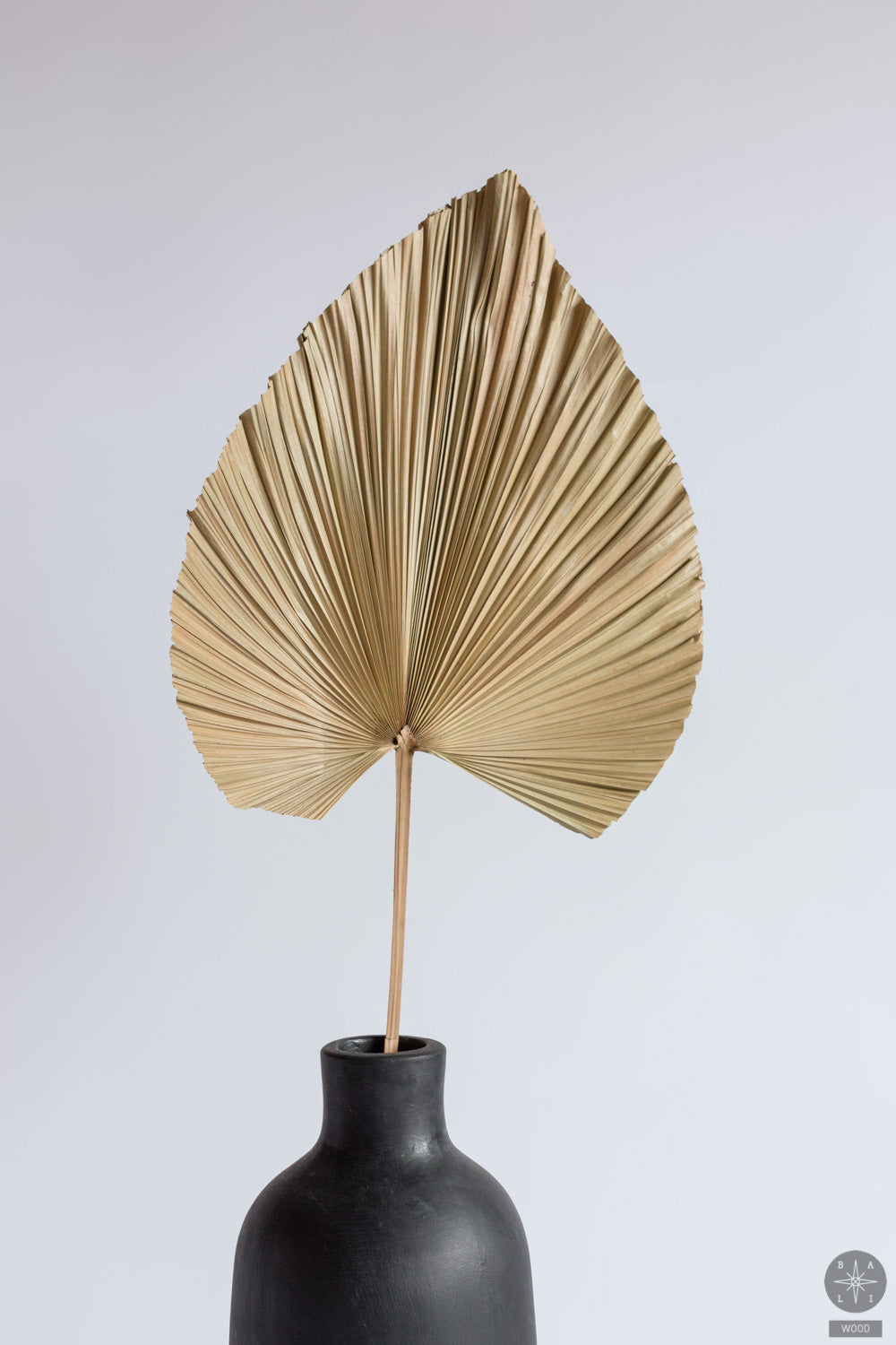 Sausa dekoracija iš palmės lapų