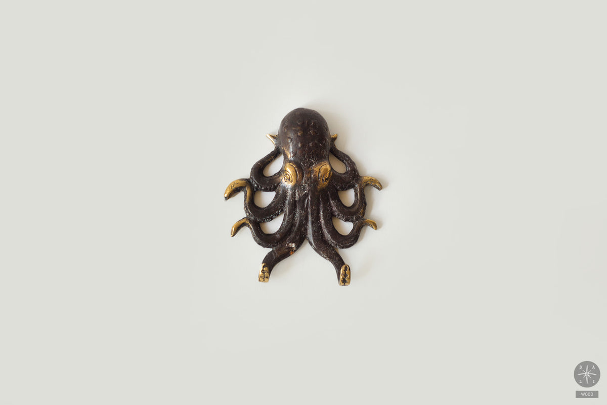 Aštuonkojo formos kabliukas